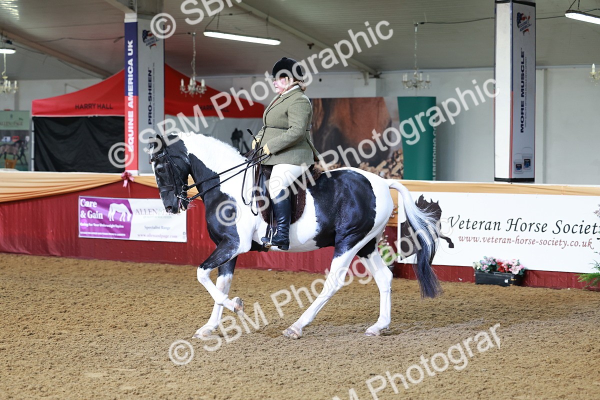 SBM_11857 - Class 102 - Equitation (Best Rider) Adult
