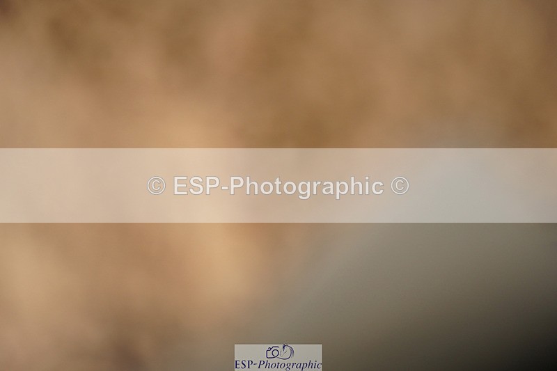 240317A-103055-04895 - Cls 25 Snr 1.20m Open