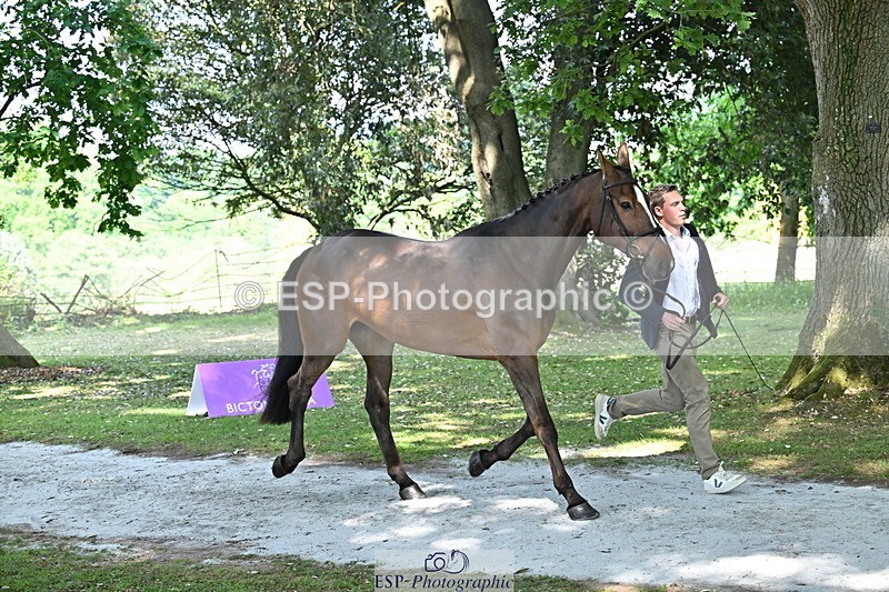 250521A-154908-00780 - B-371-Ben.Perry-FA.KARLA