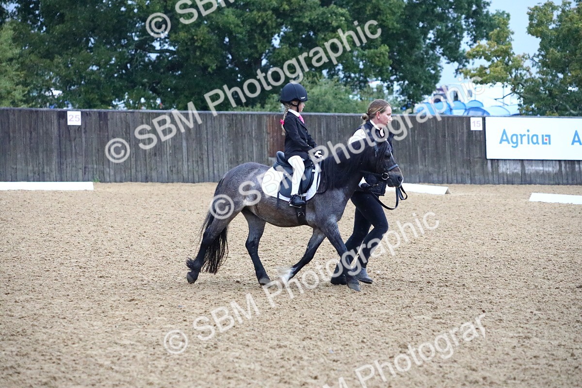 SBM_34635 - D26 - Starters Lead Rein