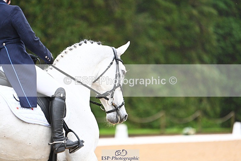 231021-103400-14481 - 230-CHOBELLA-Freddie.Taylor-DR