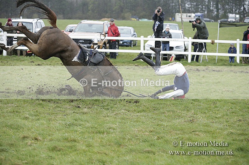 PtP 150320 0357 - New Forest Point-to-Point Larkhill 15/03/20