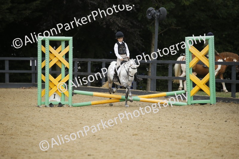 20250622-1514 - 40cm