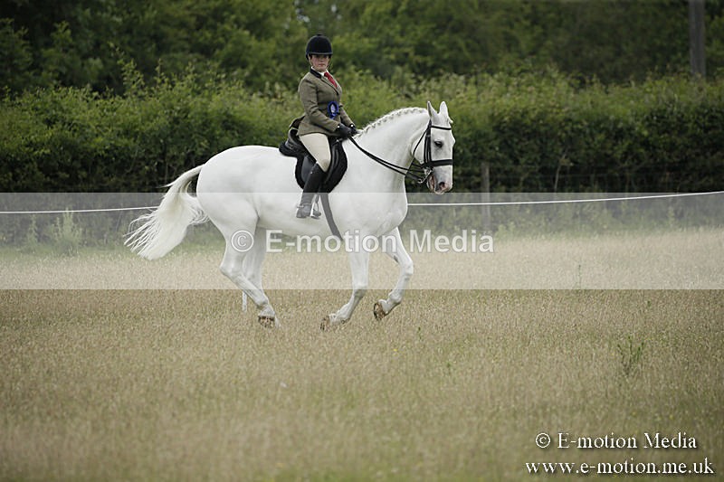 B230619-0807 - Bourne Valley Riding Club Summer Show 23/06/19
