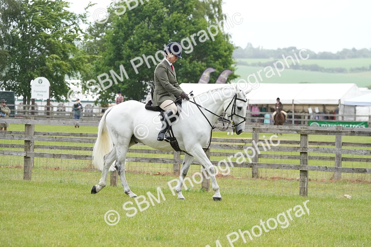 SBM_12632 - Class 97-98 - LIHS BSHA Rising Star Working Show Horse Hunter