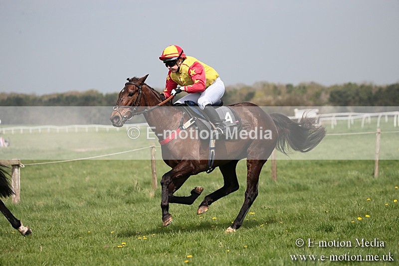 PtP 210418 21 - South & West Wilts Point-to-Point Larkhill 21/04/18