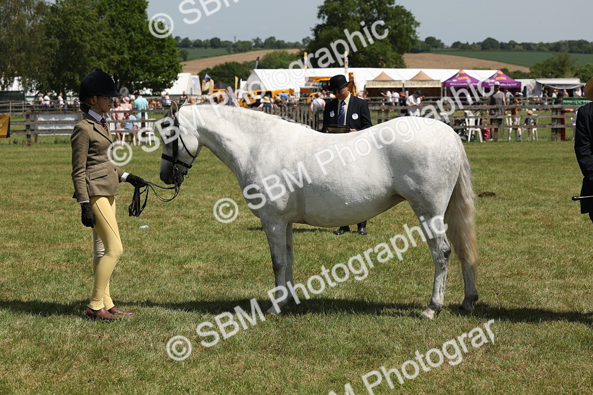 SBM_06767 - Class 26-30 - Mountain and Moorland Ridden