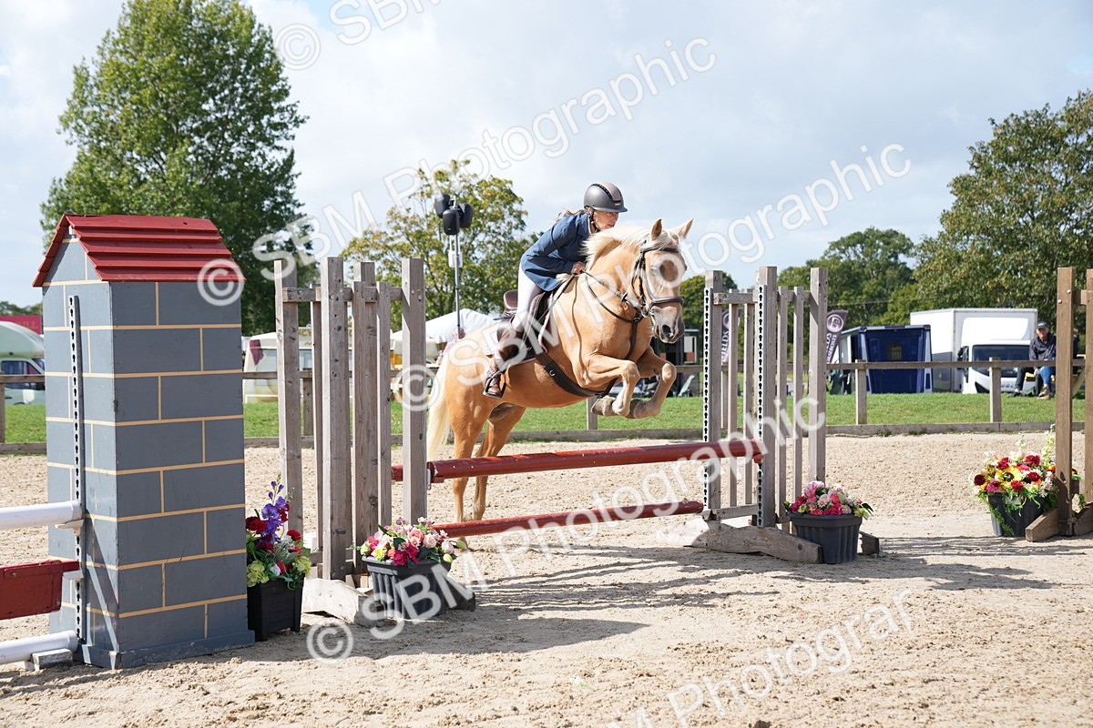 SBM_06067 - J56 - Clear Round 70cm
