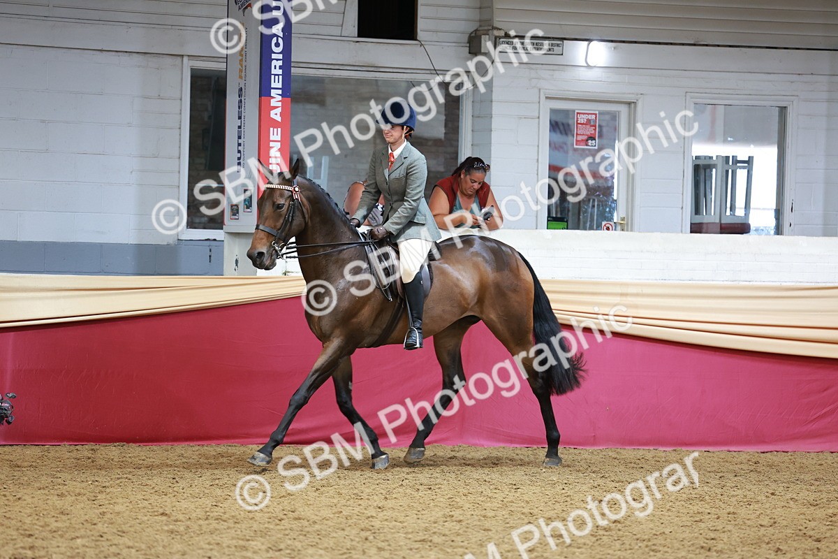 SBM_14958 - Class 108 - Ridden Retired Racehorse