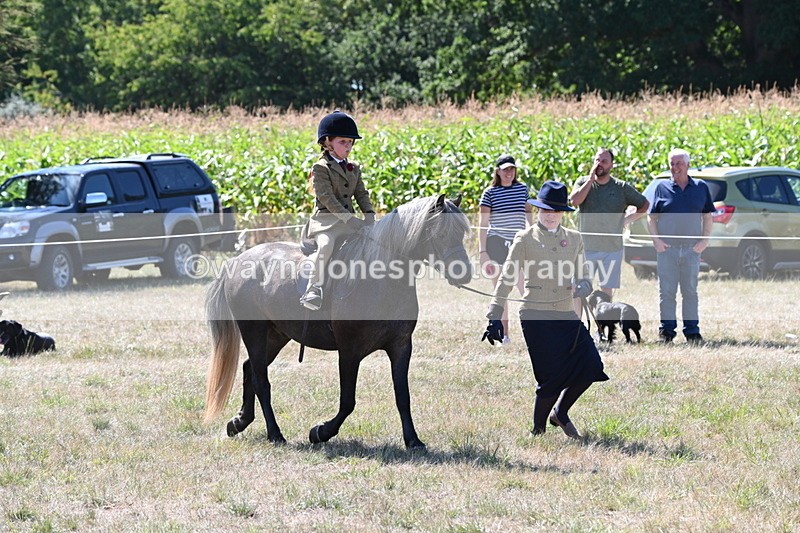 WJ6_7958 - Class 36 Lead Rein