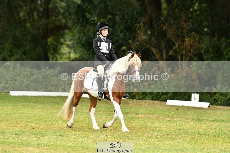 250820A-114702-05275 - 11am to 12