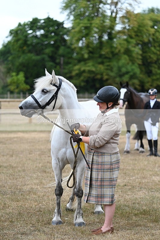 WJ7_9280 - Class 4a Prettiest Mare 14.2hh and over