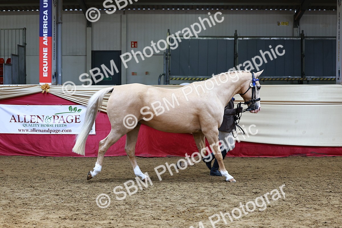 SBM_23017 - Supreme Final - IH  Champ