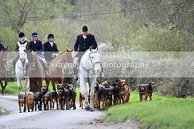 WJ7_9766 - Walk Home