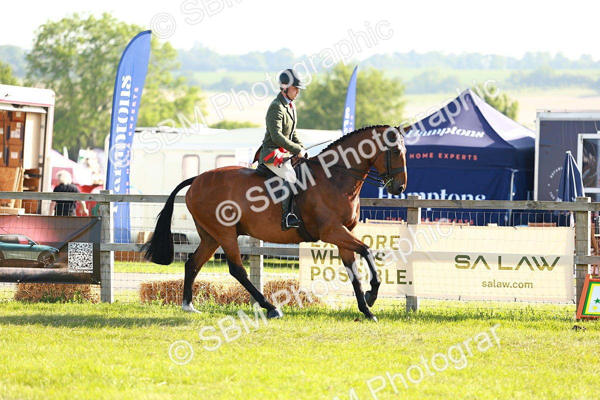 SBM_10845 - Class 66-69 - RIHS Ridden Hunters Inc Small Hunter