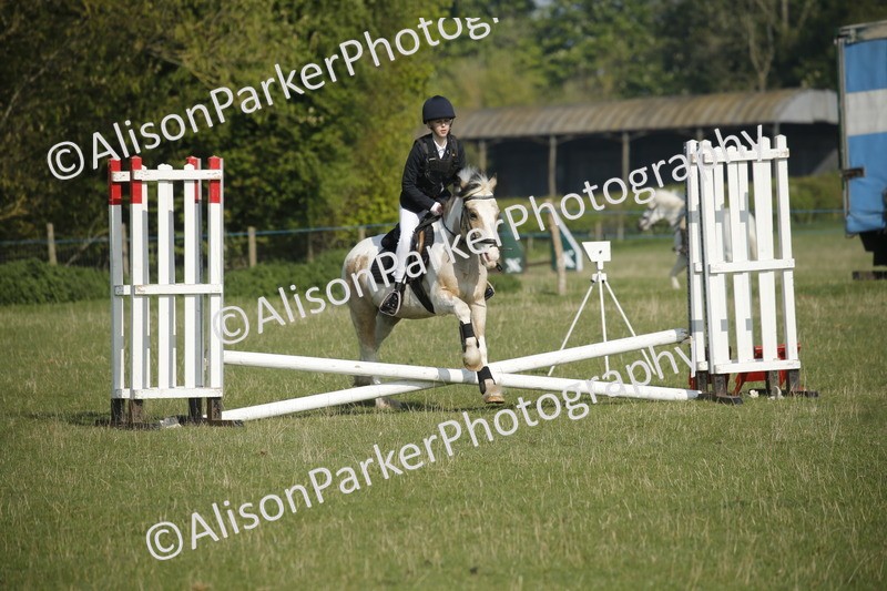 20250427-0276 - Class 12 - Rookie Jumping 40cm