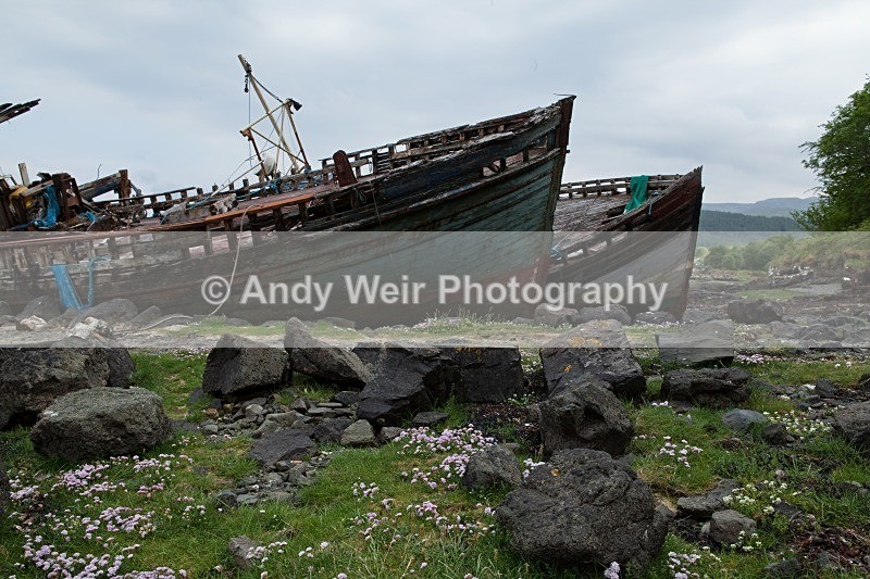 20120529-_MG_9878 - Scotland