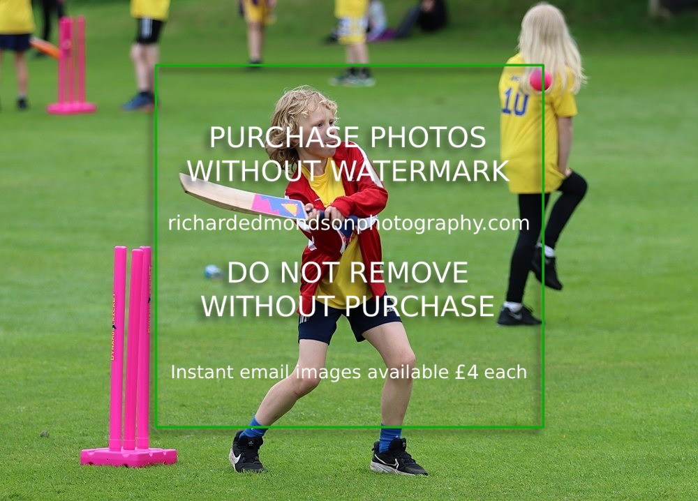 IMG_1204 - All Stars Cricket-Netherfield