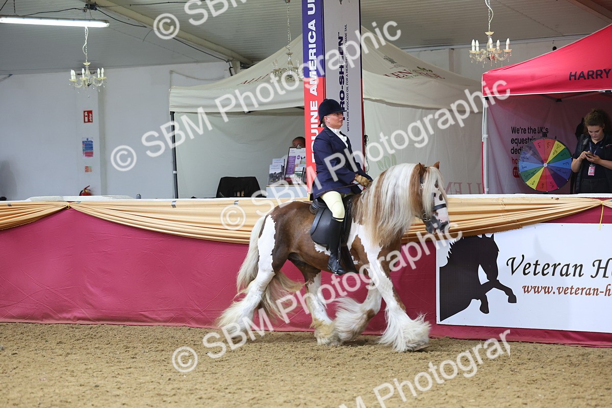 SBM_24514 - Class 906 - Supreme Final - Ridden Pre Vet
