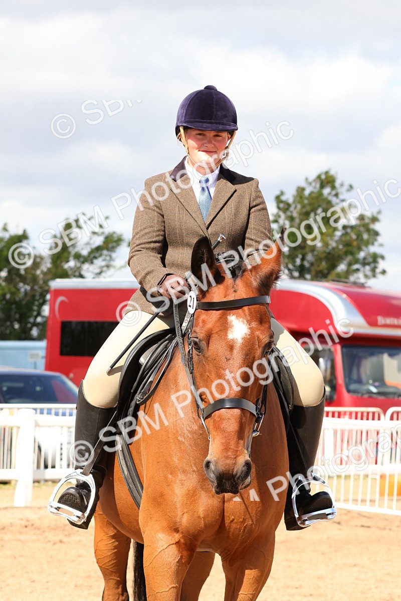SBM_13506 - Class 212 - Ridden Hunter  - Large