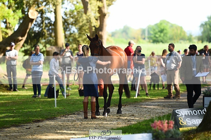 230524-171314-01359 - 161-HEADS_UP-Jemima_Howden-WEDTrotUp+DR