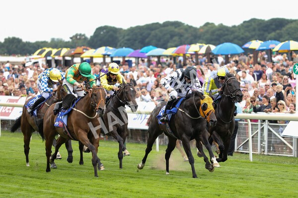 yr23072022r1-50 - Race 1 2.05pm Sky Bet Jump Jockeys Nunthorpe