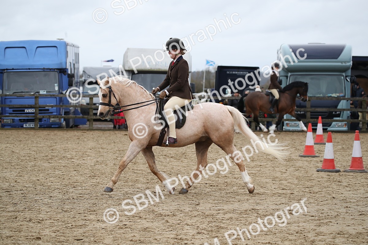 SBM_006379 - Class 10-13 - RIHS Small Large Breeds