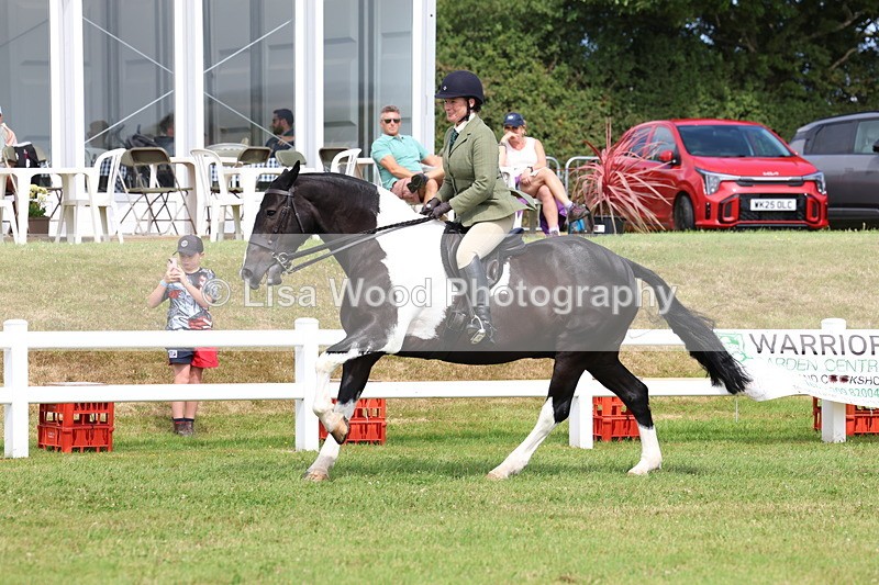 3E7A0199 - Class 6: Rising Star Maxi Cobs