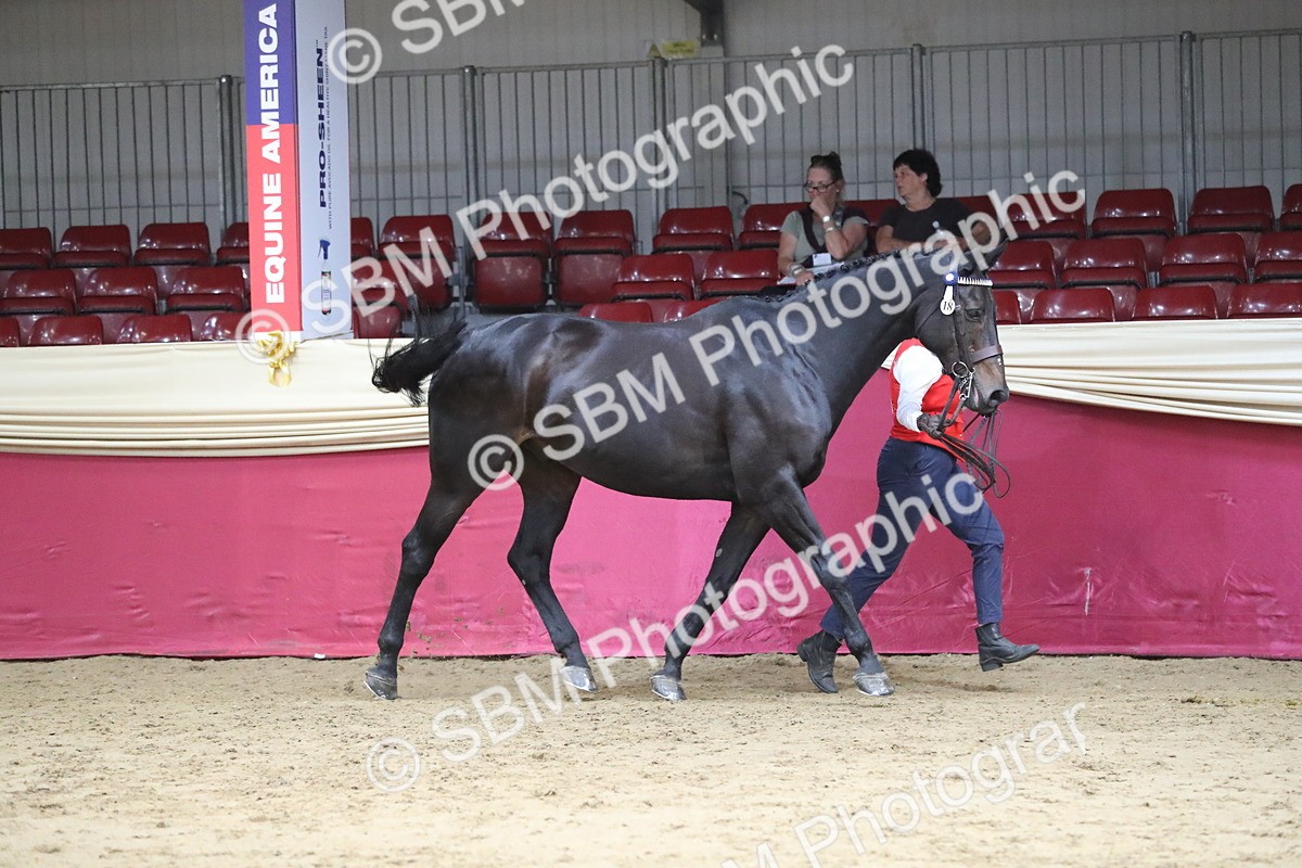 SBM_06347 - Class 9R Regional- IH Pre Vet