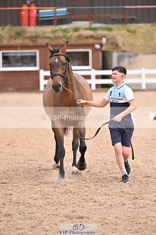 250716-142945-01115 - Trot Up 1.30 to 2.30