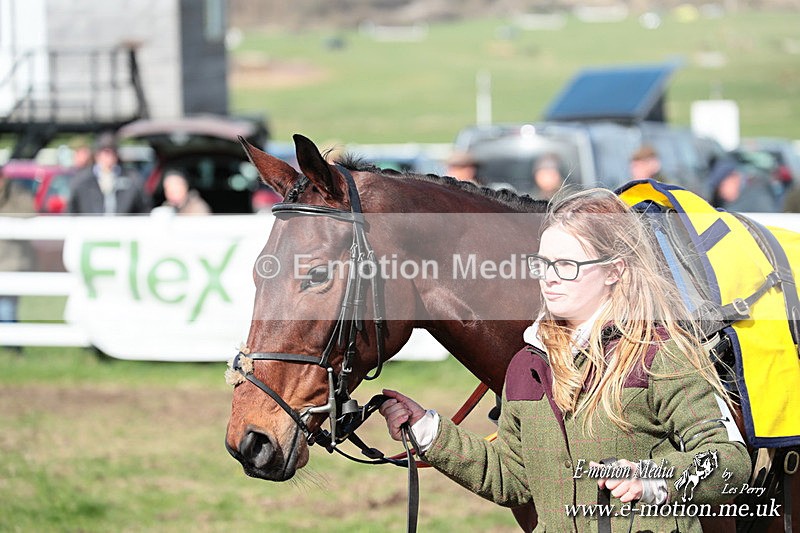 PtP 230324 229 - Tedworth Hunt PtP Larkhill Raccourse 23rd March 2024