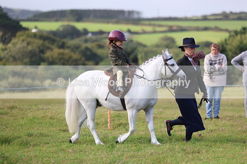 3E7A3345 - Class 2: Lead rein