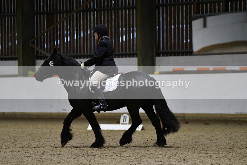 WJ5_8529 - Class 5 Novice Test 3