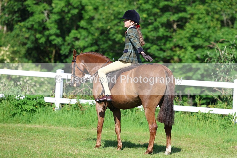 3E7A5919 - Class 27: Novice Working Hunter Pony