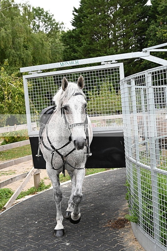 WJ6_2942 - Berks & Bucks - The Old farmhouse - Hound Exercise 20-08-25