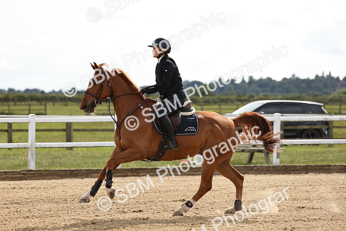SBM_003547 - Class 13 - Senior Foxhunter - 1.20m