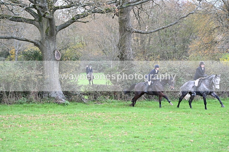 WJ6_1467 - Camera 1