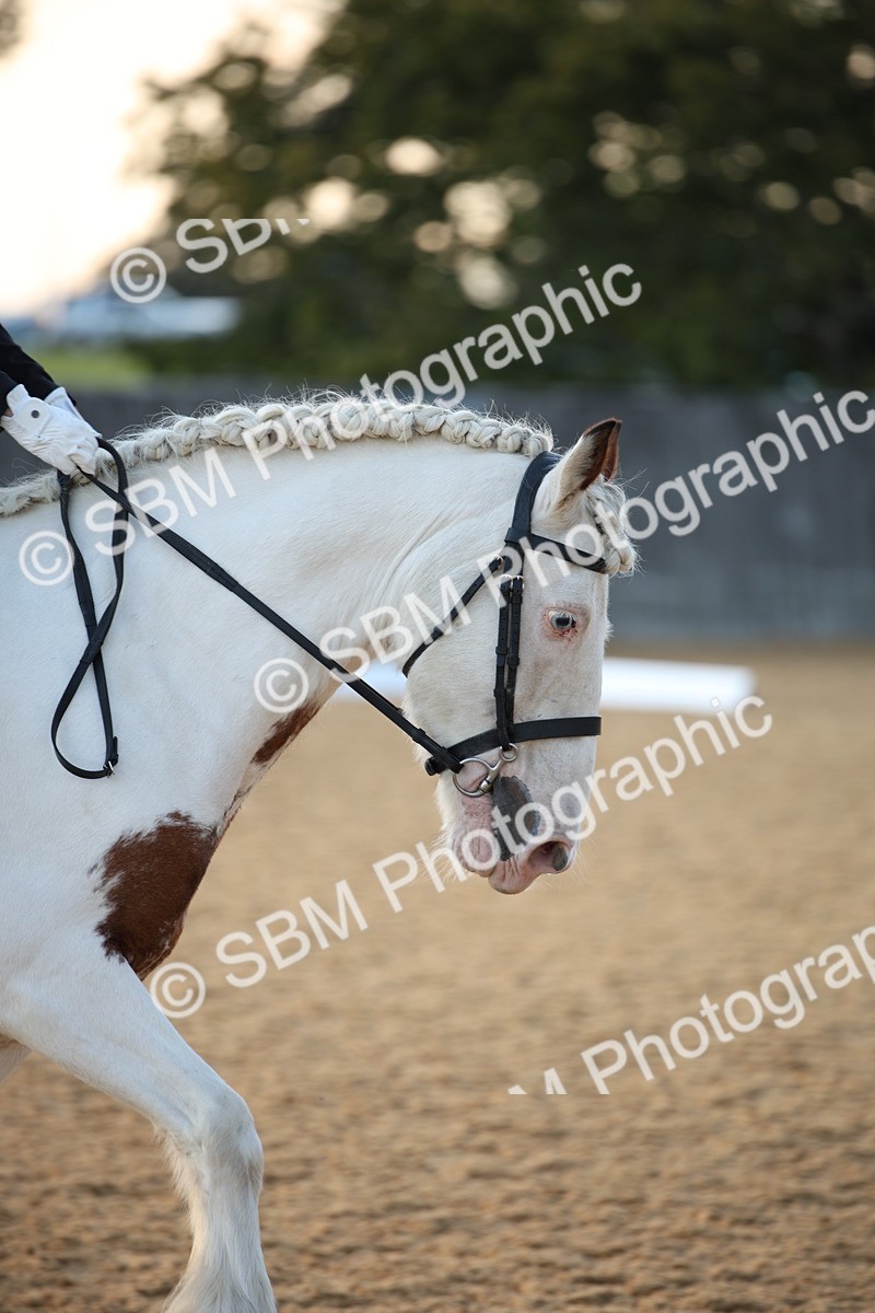 SBM_31553 - D11 - Small Tour Championship - Prelim 13