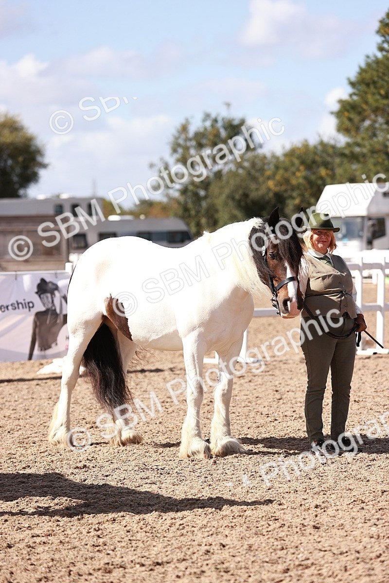 SBM_22978 - Class 707 - IH groom Helpers Class