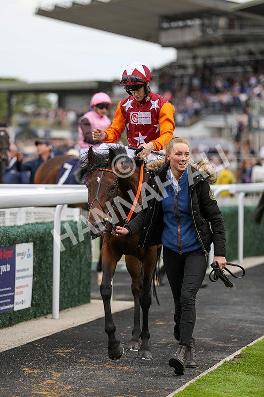 250824-Race 5-Lincoln Rockstar-9449 - Race 5