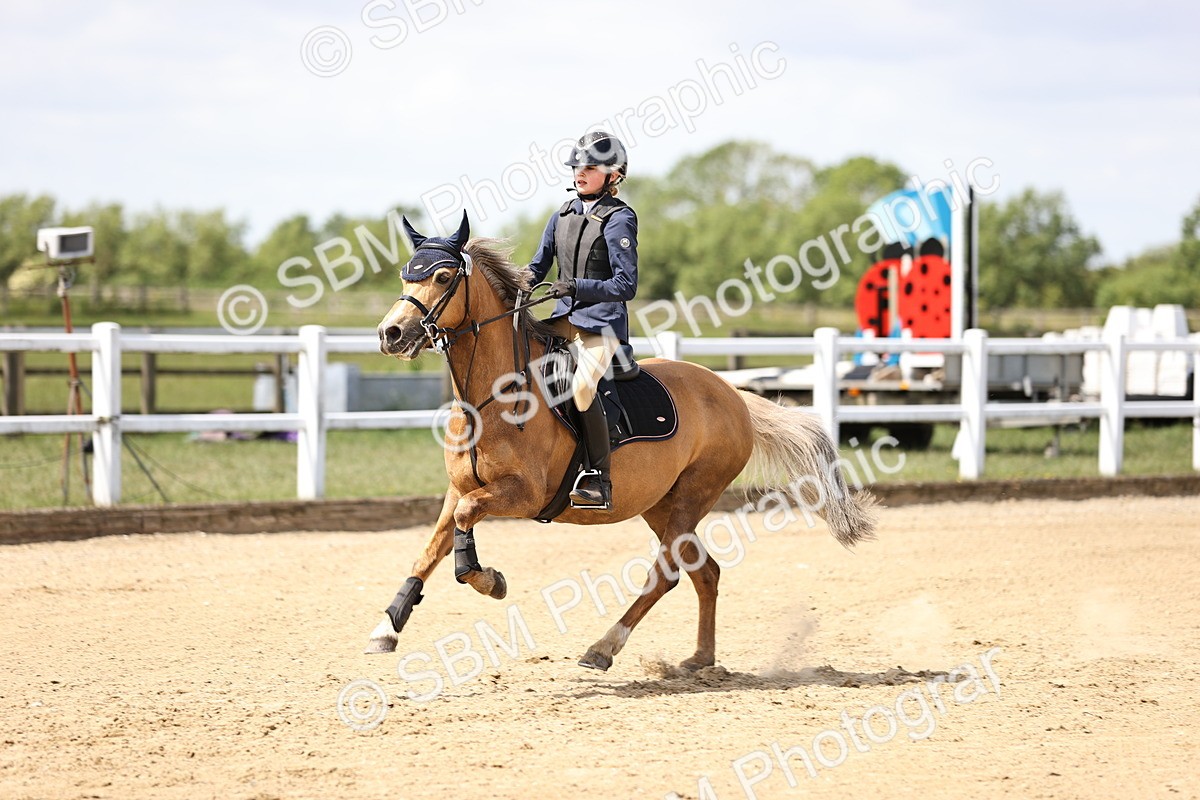 SBM_007463 - Class 2 - 80cm showjumping