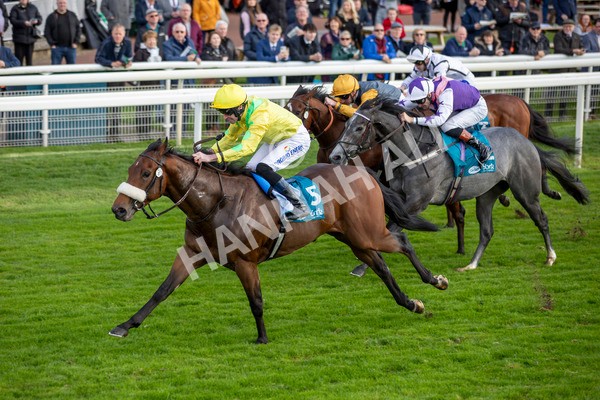 111024-Race 4-End Of Story-6922 - Race 4 3.10pm Parsonage Hotel And Cloisters Spa Nursery Handicap
