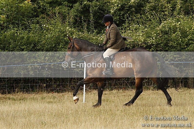 _BS_0543 - BVRC Show 2018 Ring 3