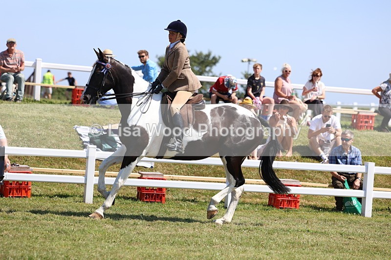 3E7A7778 - Class 7: Open Riding Horse