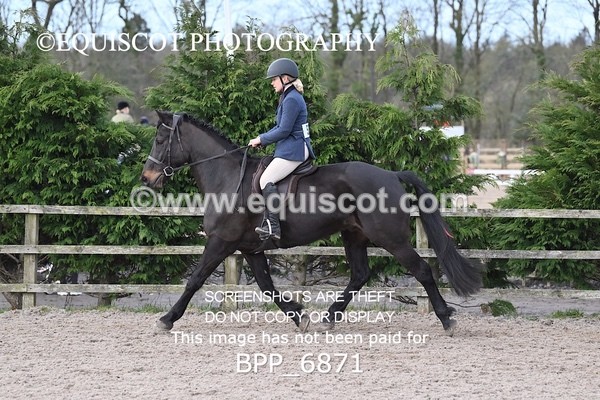 BPP_6871 - RING 1  (RIDDEN HORSES / IN HAND / VETERAN ETC)
