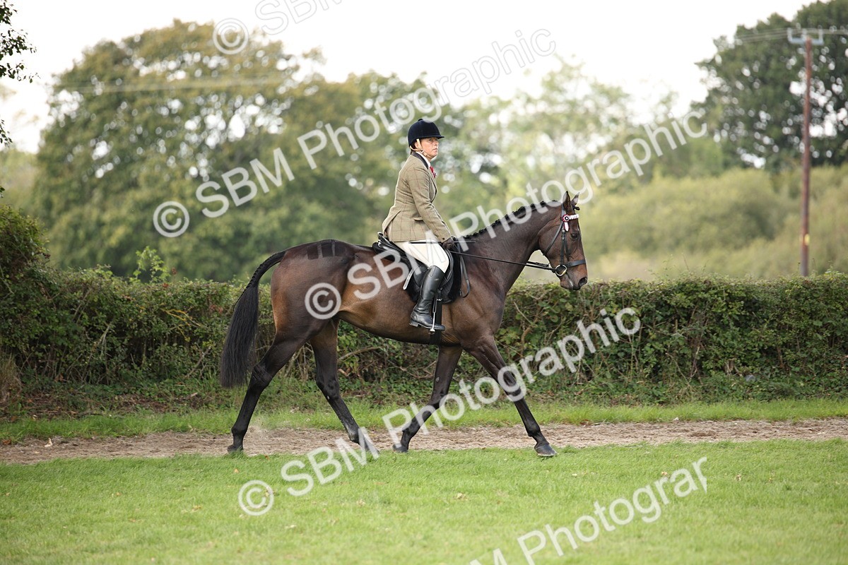 SBM_65908 - S64 - Riding Horse & Hack & Thoroughbred Ridden