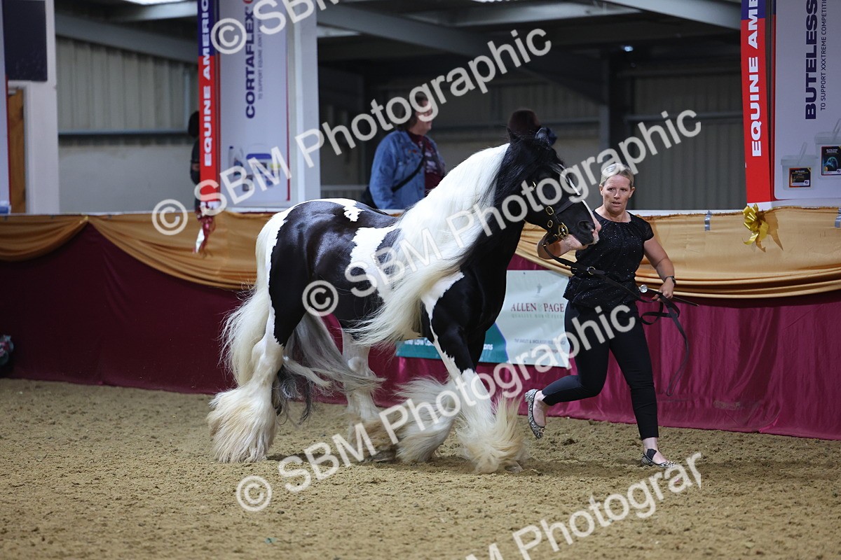 SBM_21026 - Class 902 - Supreme Final IH Veteran
