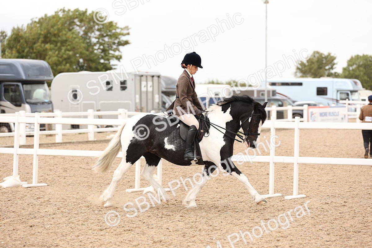 SBM_19638 - Class 216 - Ridden Traditional - Native Cob