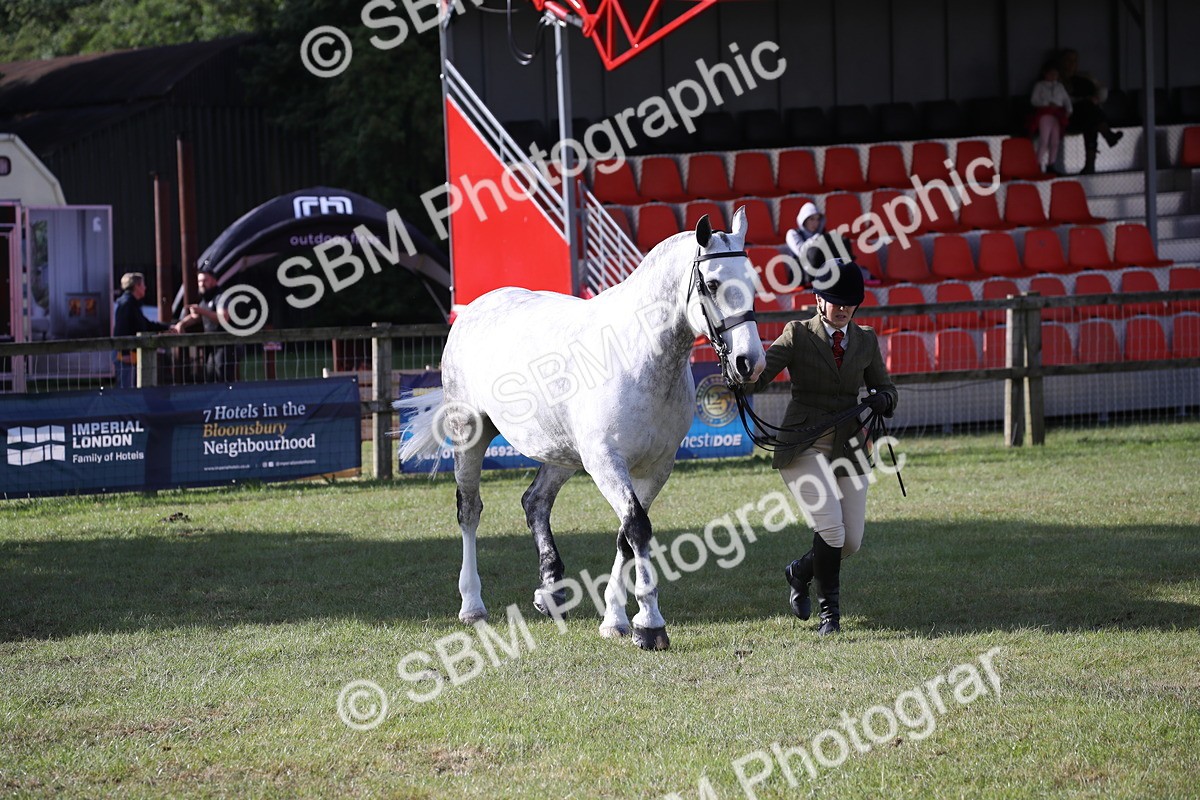 SBM_11126 - Class 92-93 - LIHS BSHA Rising Star Cobs