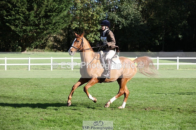 231022-111608-25065 - 607-RICO.III-Alison.Stewart-TrotUp+SJ